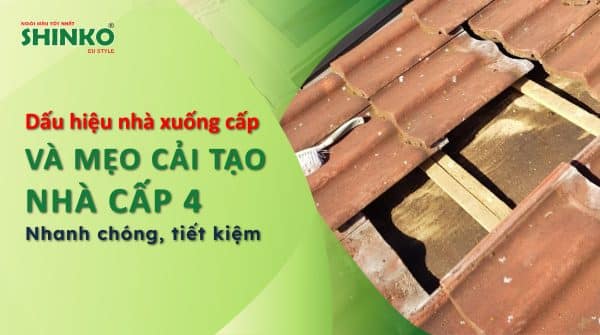 Dấu hiệu nhà xuống cấp & mẹo cải tạo nhà cấp 4 cũ