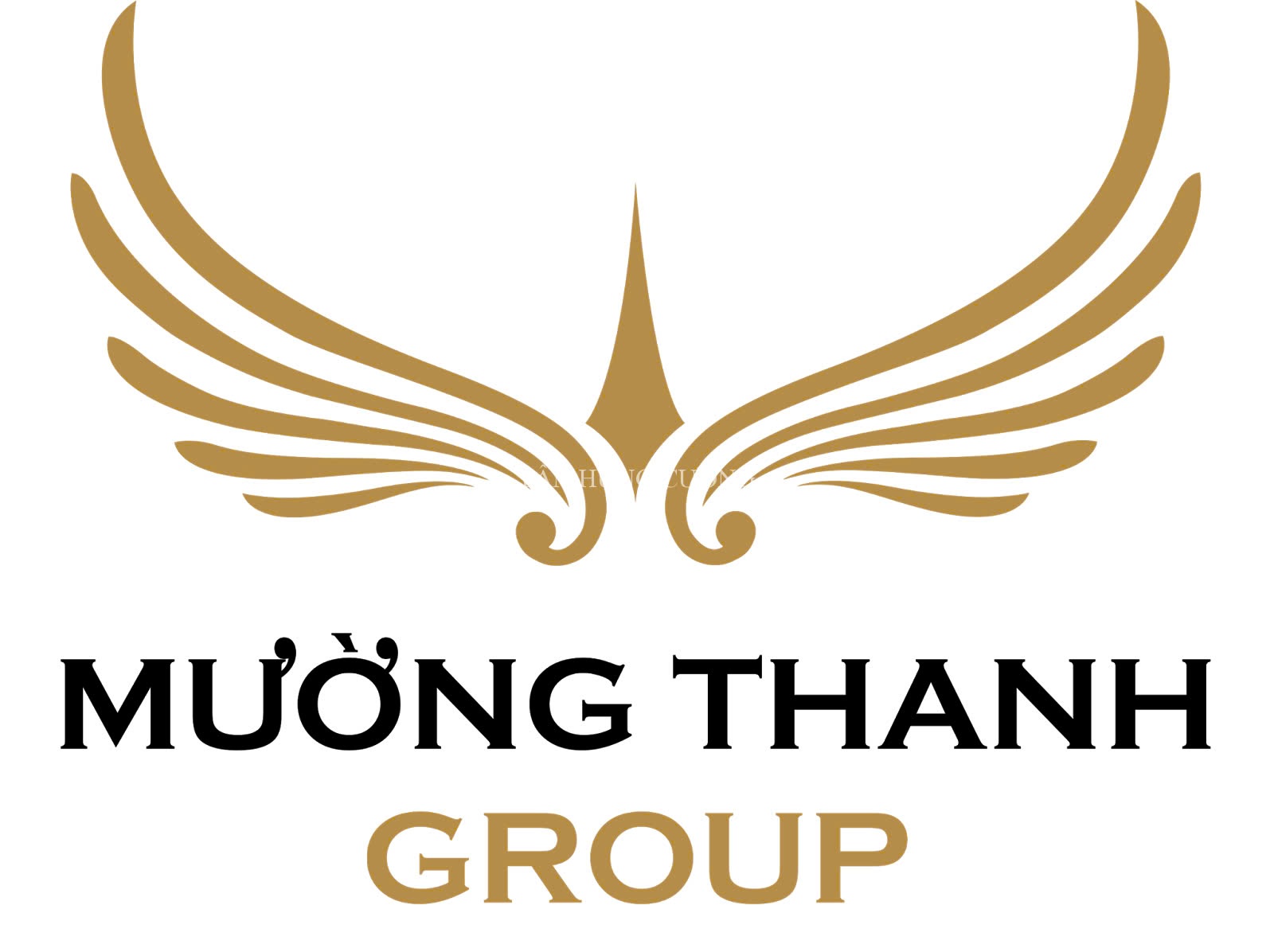 mtgroup